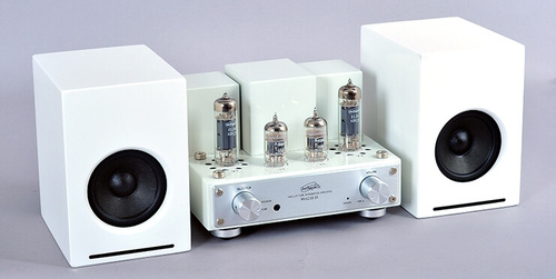 Line Magnetic Audio LM-mini218IA