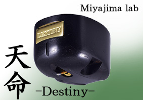 Miyajima Destiny