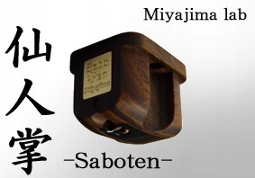Miyajima Saboten