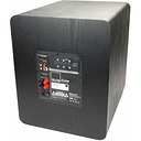 SVS PB-1000 PRO Black Ash