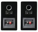 SVS Prime Satellite Gloss Black