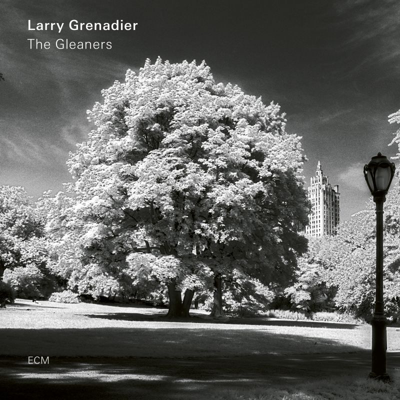 Larry Grenadier The Gleaners