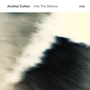 Avishai Cohen Into The Silence (2 LP)