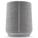 Harman/Kardon Citation 300 Grey