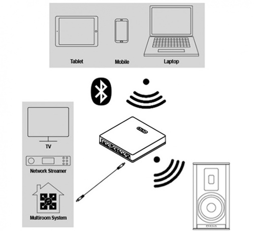 Piega Premium 501 Wireless AB