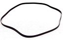 Oracle Audio Drive Belt For The Delphi, Alexandria & Paris