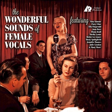 Various Artists The Wonderful Sounds Of Female Vocals (2 LP)