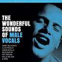 Various Artists The Wonderful Sounds Of Male Vocals (2 LP)