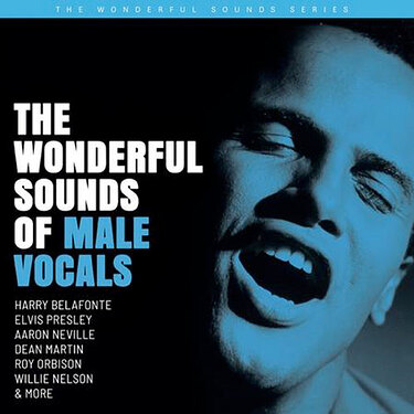 Various Artists The Wonderful Sounds Of Male Vocals (2 LP)