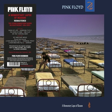 Pink Floyd A Momentary Lapse Of Reason
