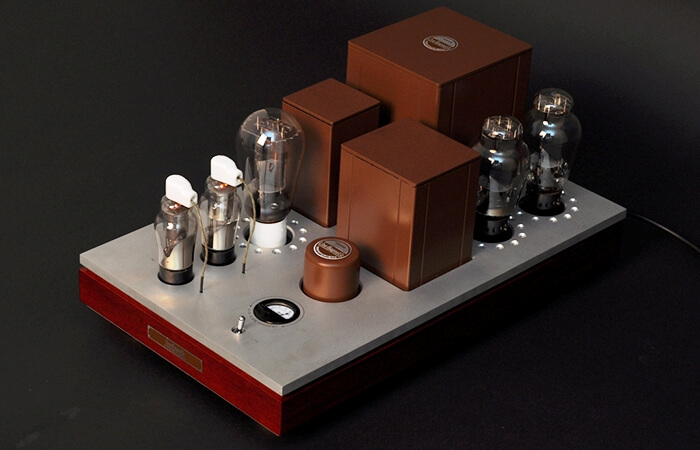 Line Magnetic Audio AM-2 Mono Power Amplifier