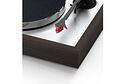 Pro-Ject Audio The Classic Evo Eucalyptus