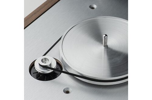 Pro-Ject Audio The Classic Evo Eucalyptus