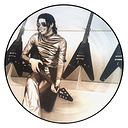 Michael Jackson History Continues Picture Disc (2 LP)