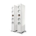 KEF Reference 5 High Gloss White/ Champagne
