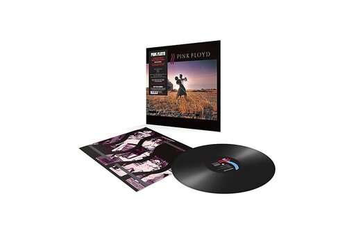 Pink Floyd A Collection of Great Dance Songs
