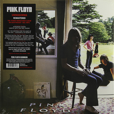 Pink Floyd Ummagumma (2 LP)