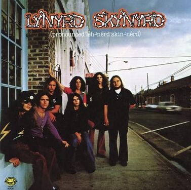 Lynyrd Skynyrd (Pronounced Leh-Nerd Skin-nerd) 45RPM (2 LP)