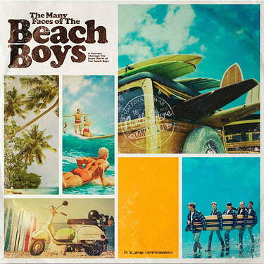 Various Artists The Many Faces Of The Beach Boys Blue & Yellow Vinyl (2 LP)