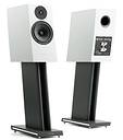 Pylon Audio JASPER 18 Monitor White