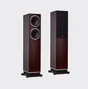 Fyne Audio F501 Dark Oak