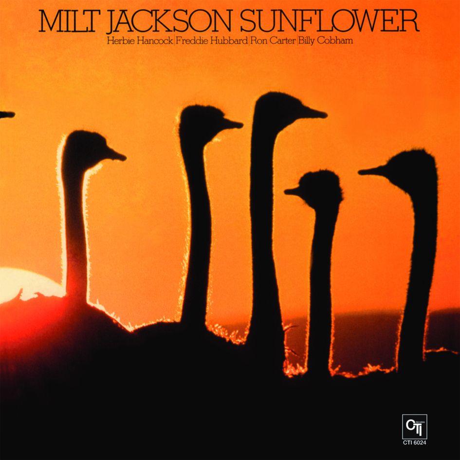 Milt Jackson Sunflower