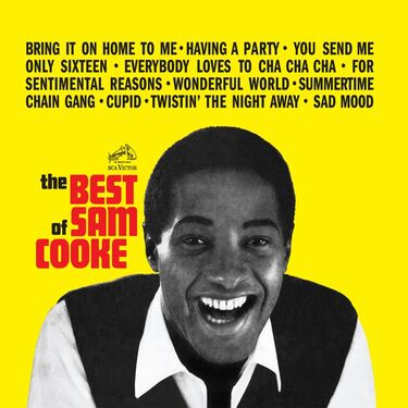 Sam Cooke The Best Of Sam Cooke 45RPM (2 LP)