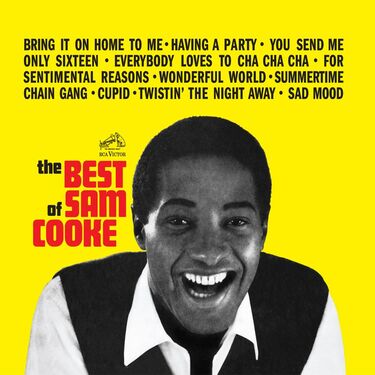 Sam Cooke The Best Of Sam Cooke 45RPM (2 LP)