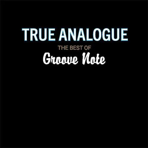 Various Artists True Analogue: The Best of Groove Note Records 25th Anniversary 45RPM (2 LP)