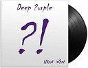 Deep Purple Now What?! (2 LP)