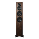 Dynaudio Focus 50 Walnut