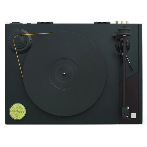 Analog Renaissance Big Level