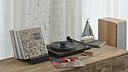 Analog Renaissance BEND Black