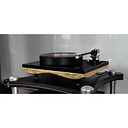 Gold Note Mediterraneo B-7 Gold Leaf