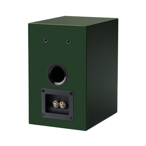 Pro-Ject Audio Speaker Box 5 E Carbon Satin Fir Green