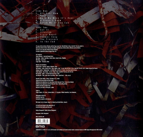 The Cranberries In The End