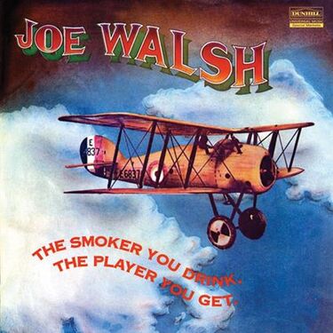 Joe Walsh The Smoker You Drink, The Player You Get