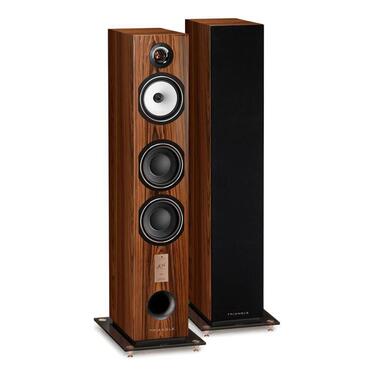 Triangle Esprit Antal 40th Golden Oak