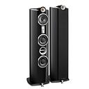 Triangle Signature Delta High Gloss Black