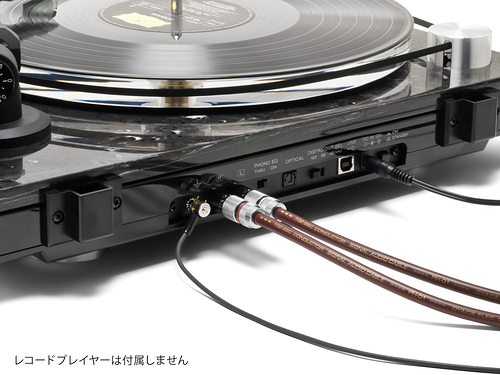 Oyaide PH-01 RR RCA-RCA 1,0 м.