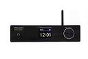 Premiera Mini Amp
