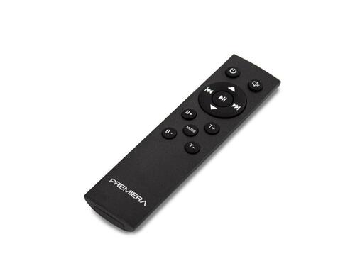 Premiera Mini Amp