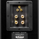Dynavoice Definition DM-6II Black