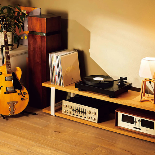 Audio-Technica AT-LP8X Black
