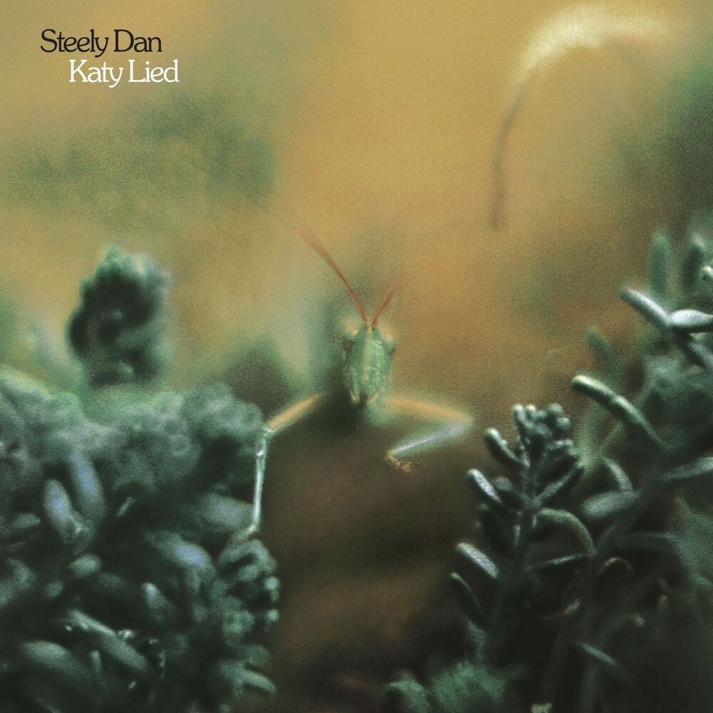 Steely Dan Katy Lied Hybrid Stereo SACD