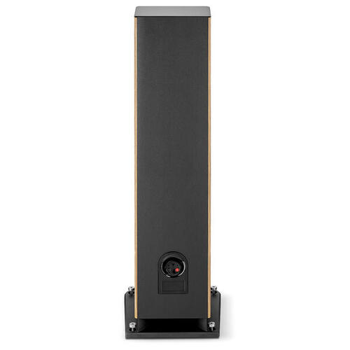 Focal Aria Evo X N4 Prime Walnut