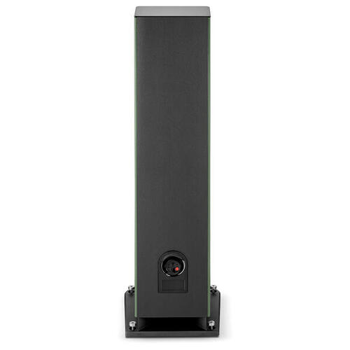 Focal Aria Evo X N4 Moss Green High Gloss