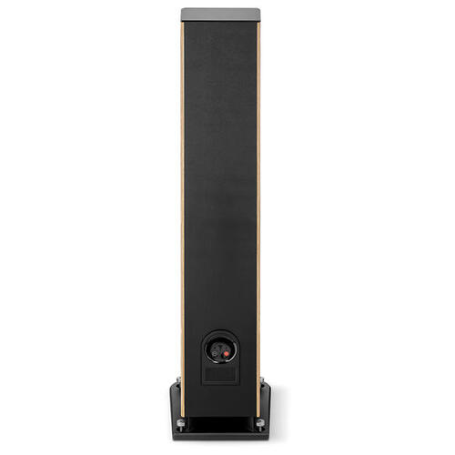 Focal Aria Evo X N3 Prime Walnut