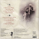 Schenker Barden Acoustic Project Gipsy Lady