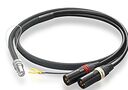 Phasemation CC-1000 D (5-pin DIN - XLR) 1,2 м.